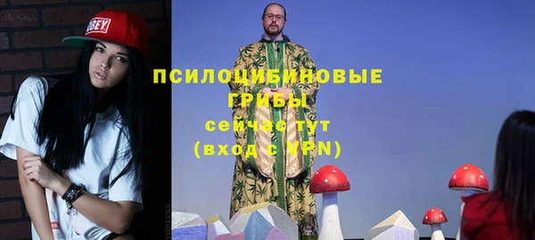 стаф Баксан