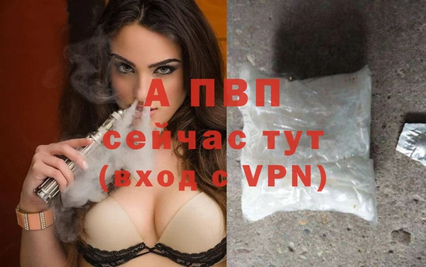 стаф Баксан